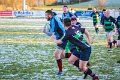 Monaghan Legends V Perennials (8)